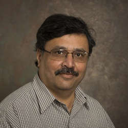 Vijay Shanker